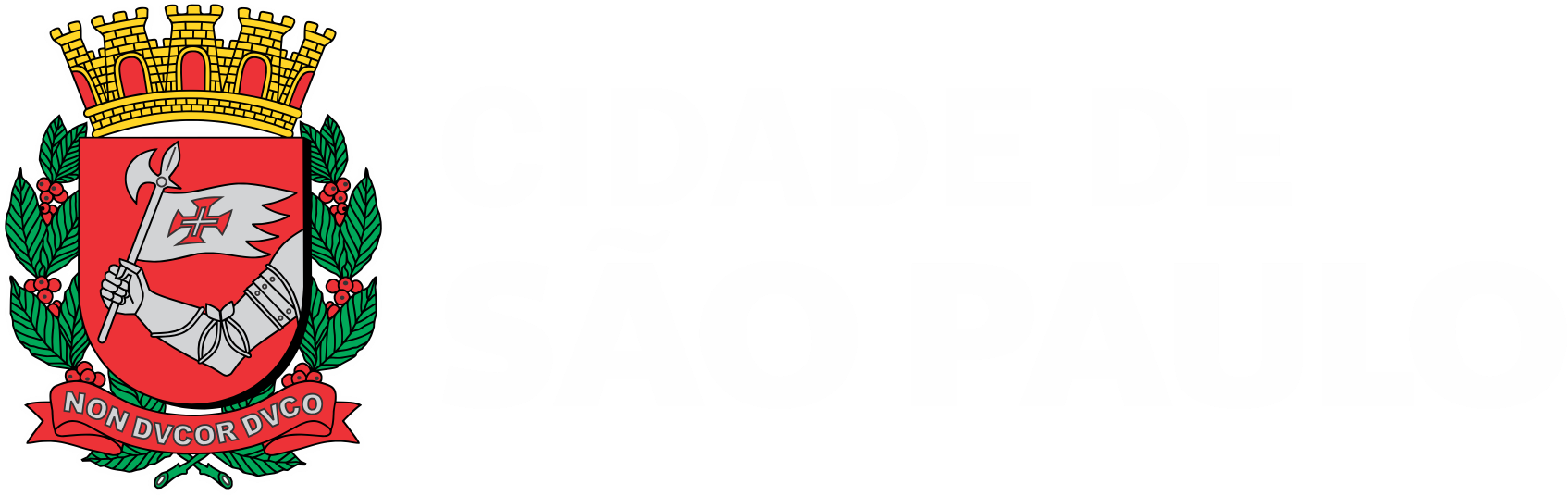 Cidade de São Paulo